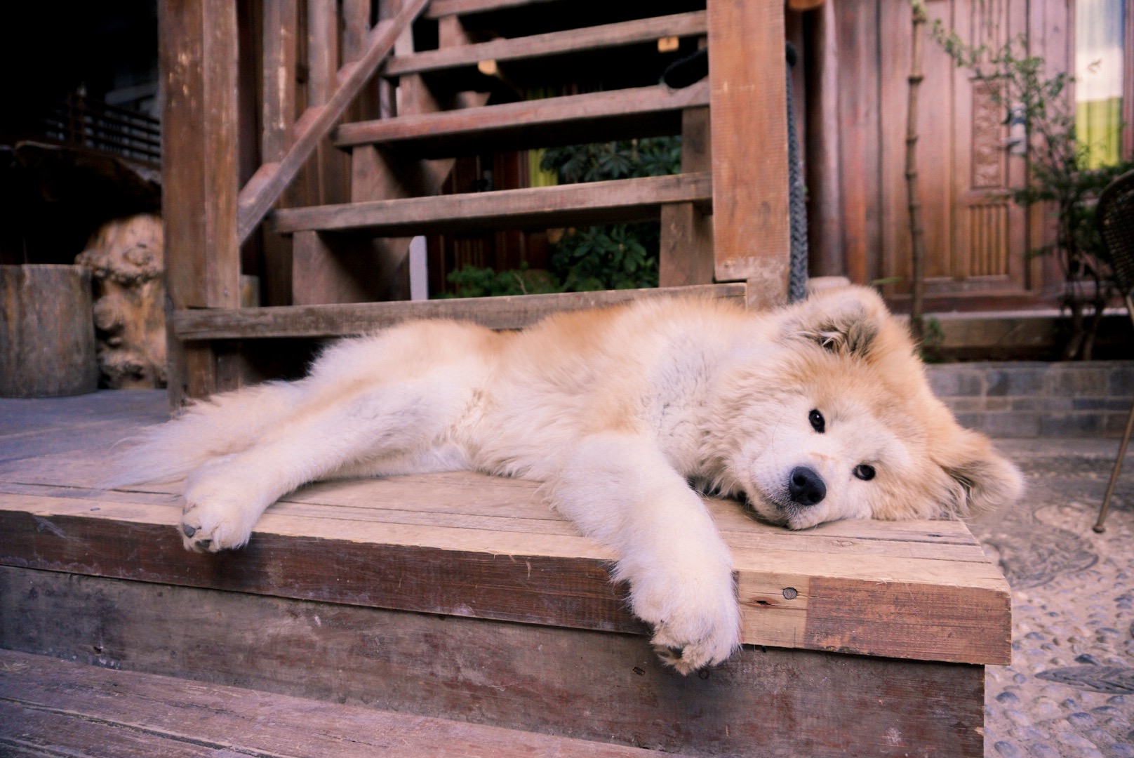 Vẻ đẹp thường nhật cổ trấn